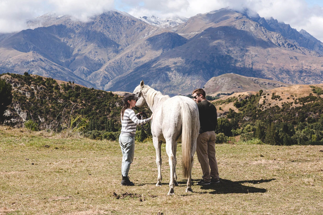Equine Therapy